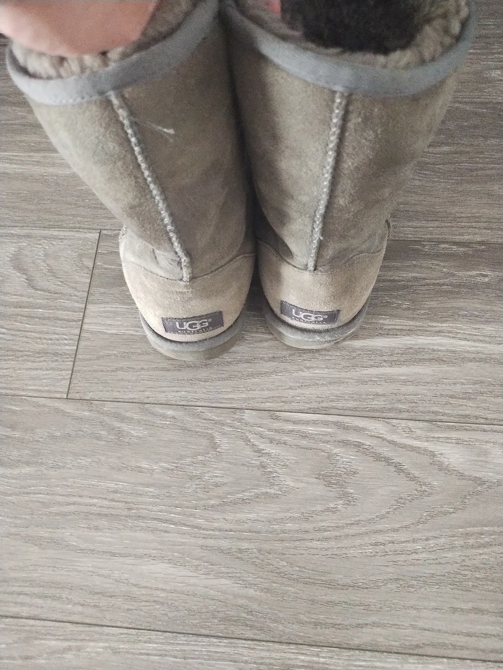 UGG Classic Short Shearling Boots in Gray Taupe Size 9